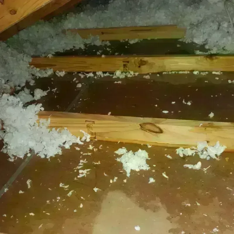 Attic Water Damage in Tehama County, CA